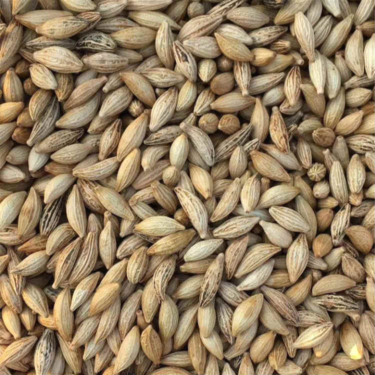 𻨷NӡrwM²ɹ𻨷N