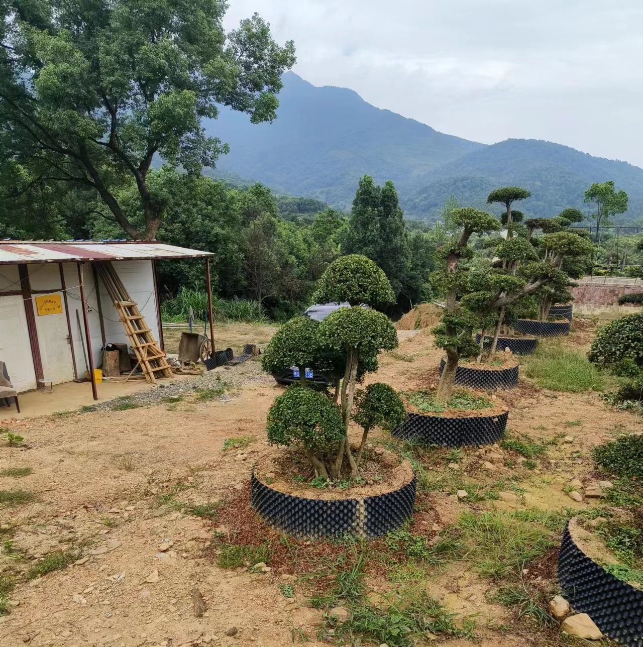 骘^ͳ骘辰eͥԺcYľ