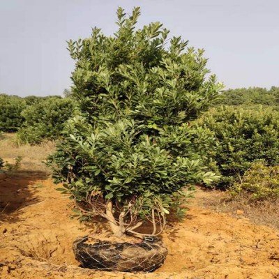 ÷玧l؛؛÷ڷ2-5סԗ÷׳ɻ