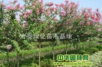 ޱt~~Ůؑ䡢ͩ䡢Θ