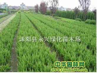 ءuuɳذء~Ůؑt~СޡSβ