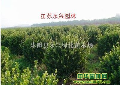 l(wi)ì򡢽~ŮؑS򡢻ľȡtľľ