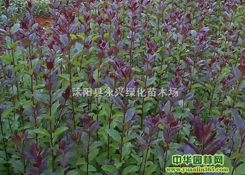 t~Ůؑt~Ůؑ硢t~Ůؑ