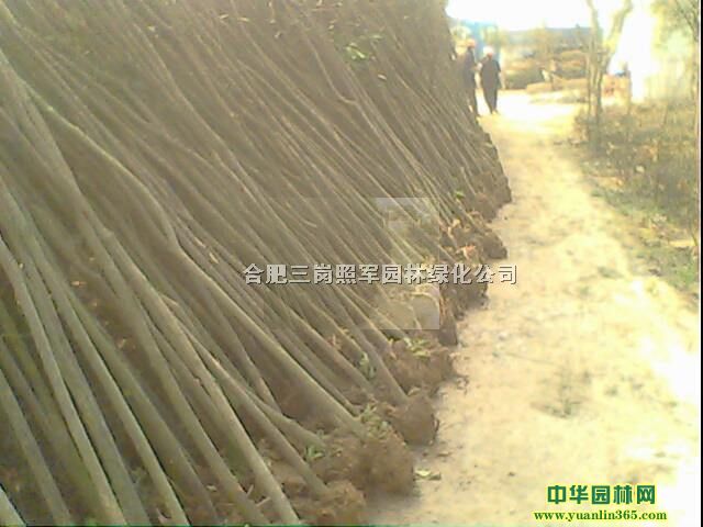 ꡢSBľt~~ŮؑޱͩǗʯ