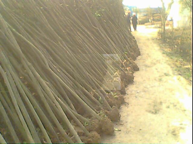 t~ꡢoӡ~ŮؑSBľˡޱˮɼ