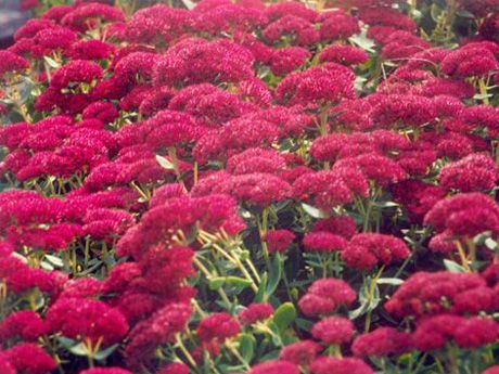 ˌǧˡ񎧲~JȔ