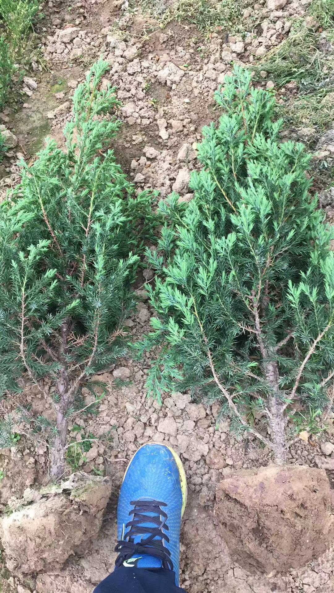 ̰Сۃrؘ̰ء15׸ߴؘ̰r