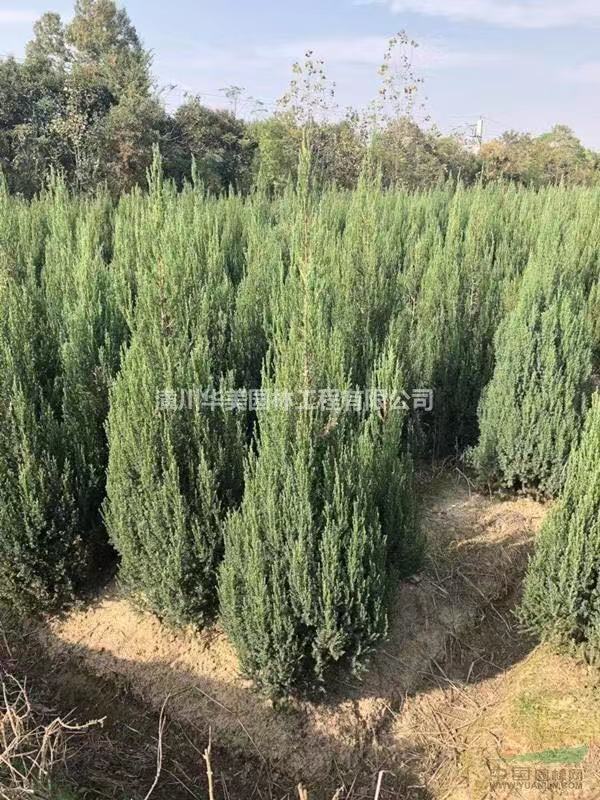 AؘĹ@ؘ䡢·GNֲAؘ