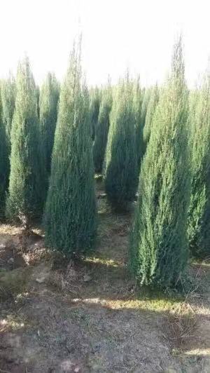 2׸ߴ̰جFr12Ԫ15ߴؘ̰Fr6Ԫ