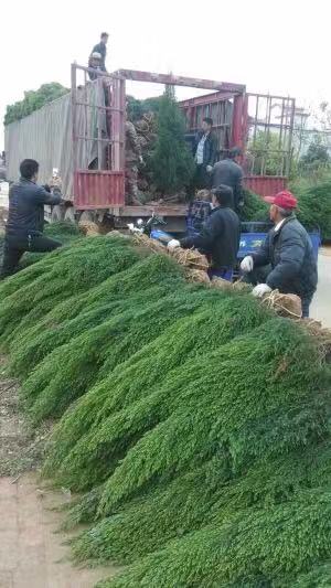 ĹGNֲؘ̰䡢·Gؘ̰