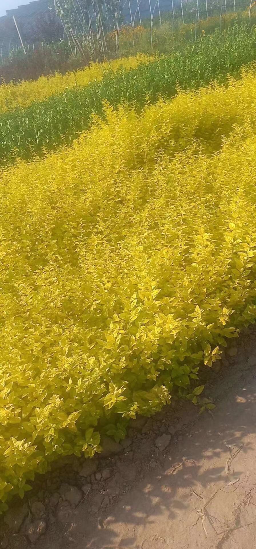 ~Ůؑ硢~Ůؑ3-8֧ۃr(ji)~Ůؑ