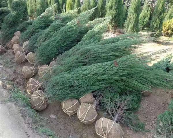 ؘ2׸ֵ̓rͺ2ט̎Gؽr