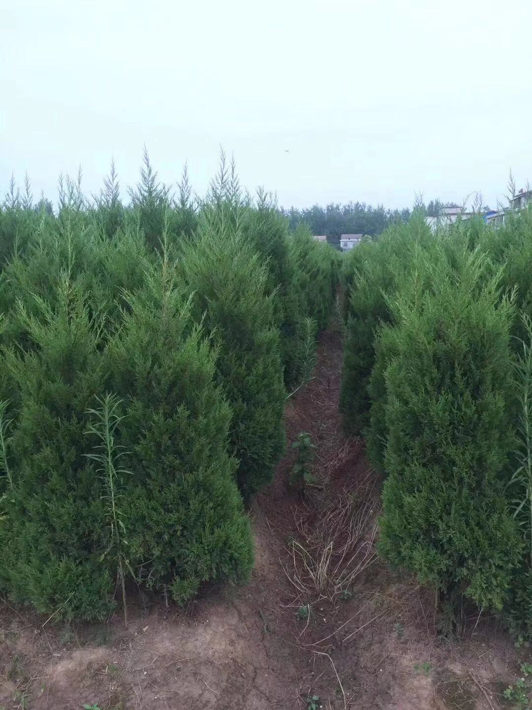 ؘۃrʏ硢Sɽؘ1-3׸