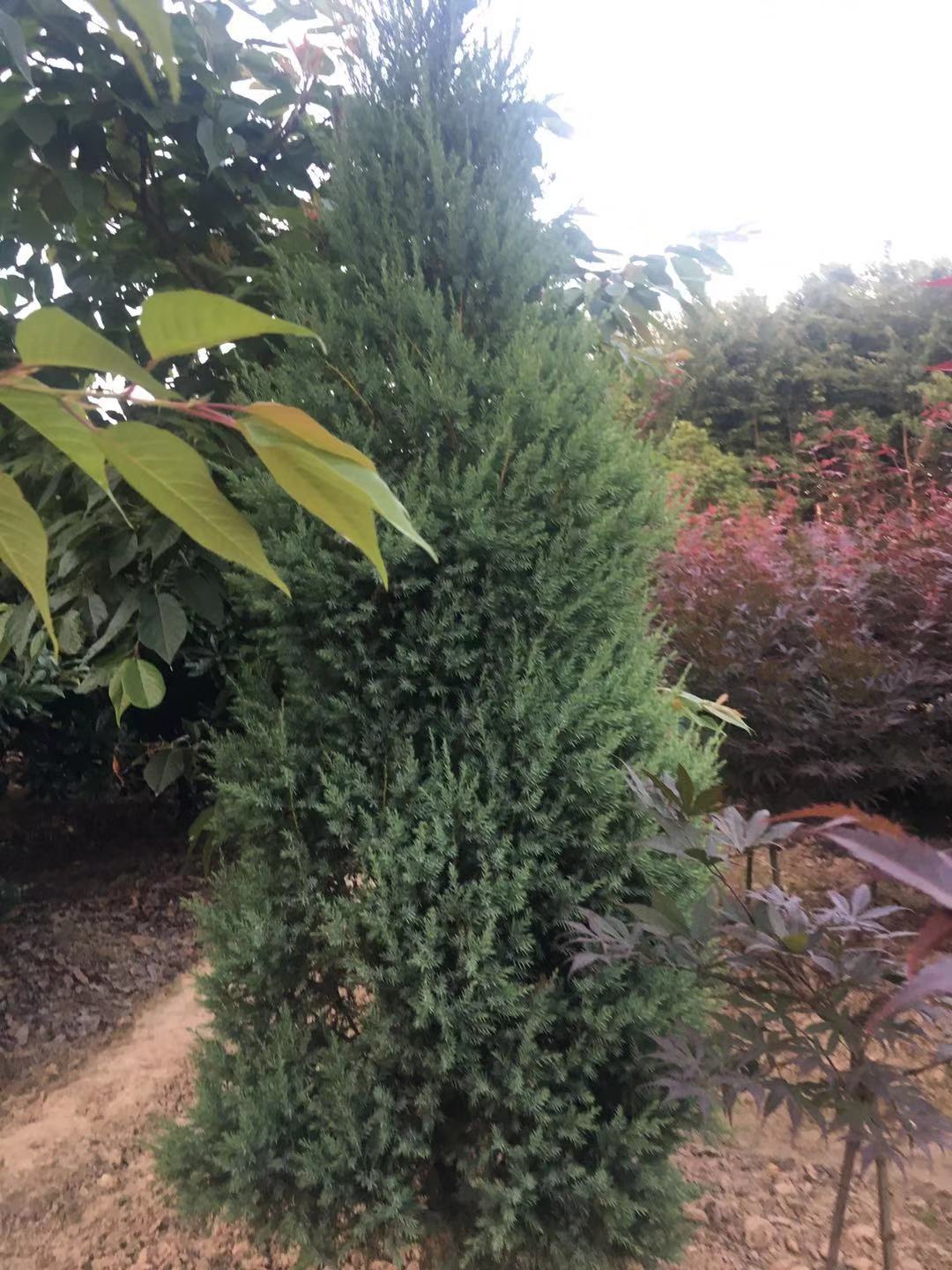 ؙu؈Aءؙuش̰ءvRش̰