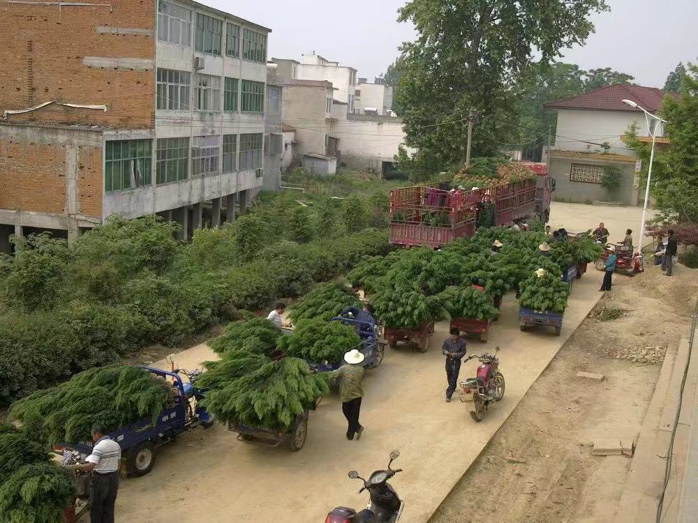 ꖴ̰ɰؘVԪu؈A_ش̰