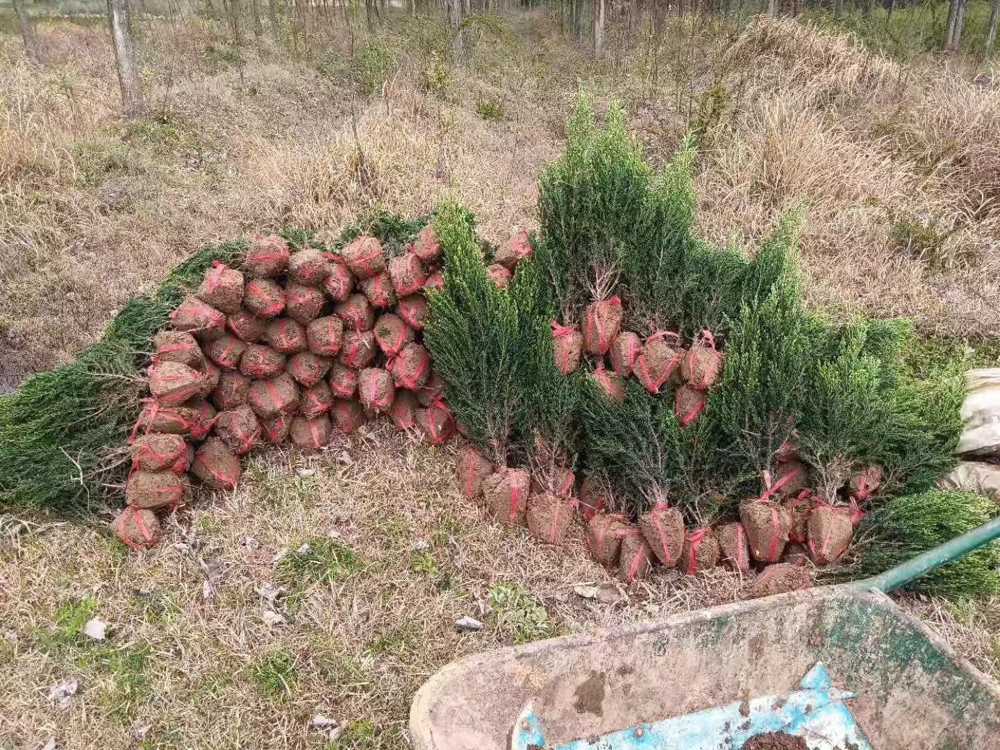 Ќ؈Aشؘ̰䡢ԭ؈AءͬĈAش̰u