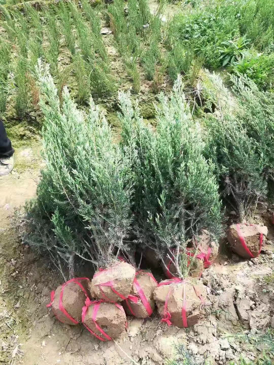 ˮؘA硢ؘu硢ɳؘؘ