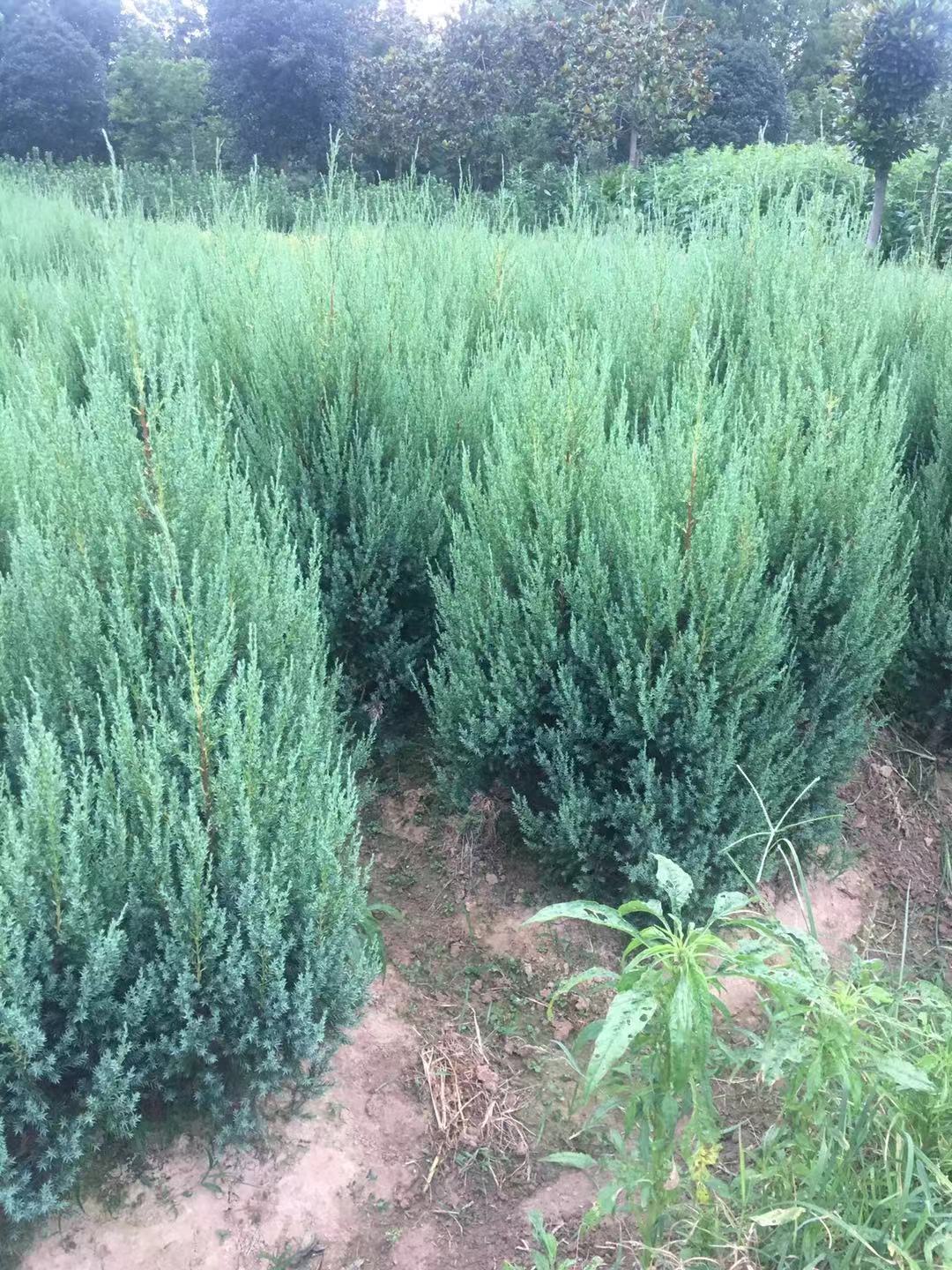 ϪؘС硢ϪؘϪ1-2ؘ