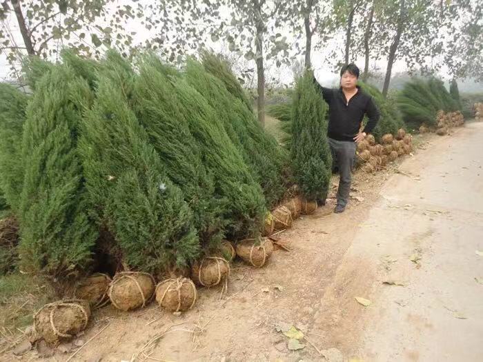 âؘС硢â1-2׸ؘ䡢âؘ