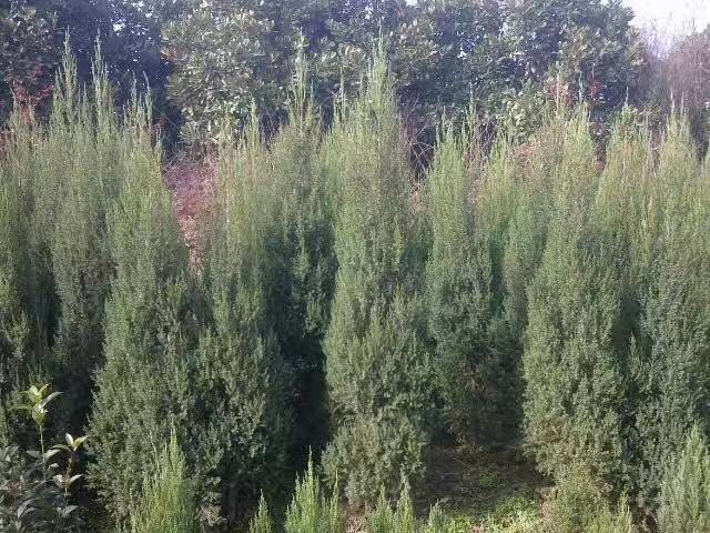 ؘؕС硢ؕ1-2ؘ䡢ؘؕ