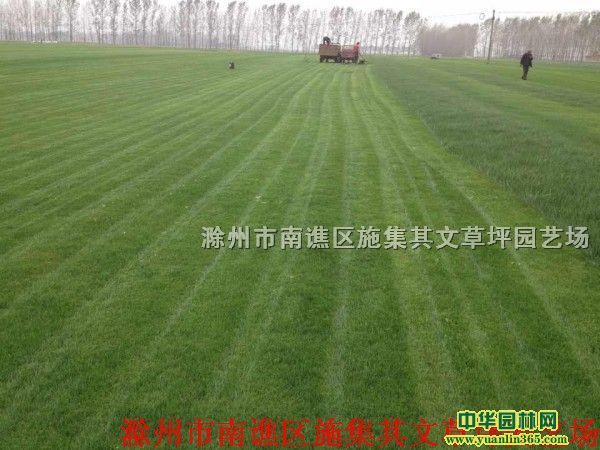 S^(q)ʩĲƺ@ˇ(chng)