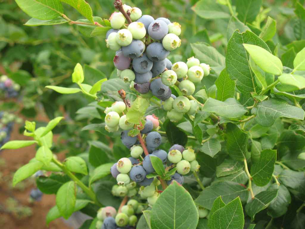 {(ln)ݮ߅{(ln)ݮ{(ln)ݮ