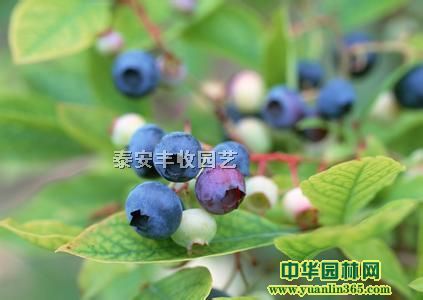 ̩{S{ݮ硢̩{ݮ硢{ݮM