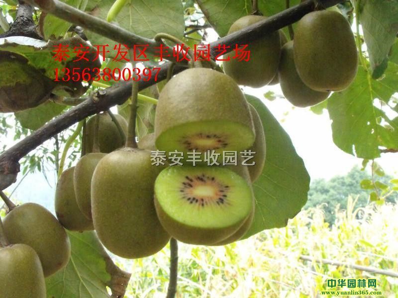 FL(zhng)J硢ϫJ硢2֫JҘ