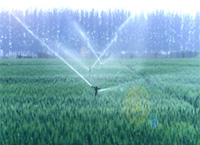 ˮȣ΢ιߠ򇊹rI:  @և