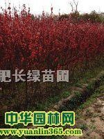 t~ҡޱѻt򡢺ͩ򡢗dӻ