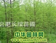 ˮɼ䡢~Ůؑt~2-10