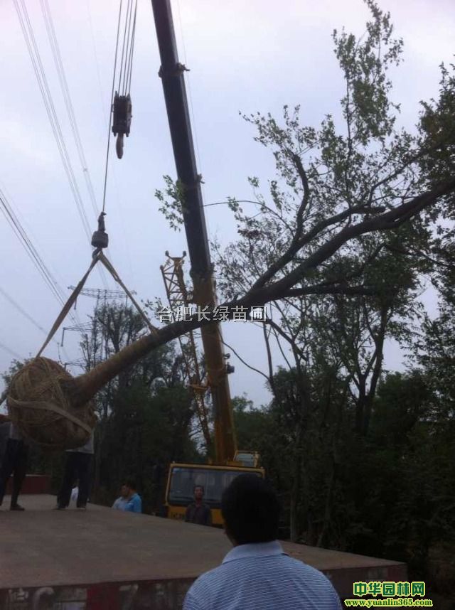 (sh)ǗꡢܡSBľ~Ůؑľʯ骵ľ