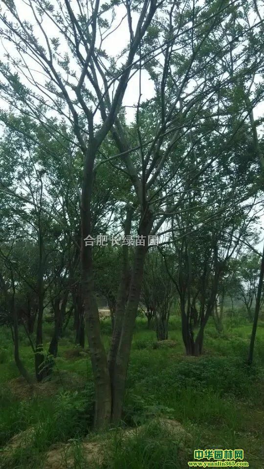 շۙΘ䡢䡢ܡSBľꡢǗ