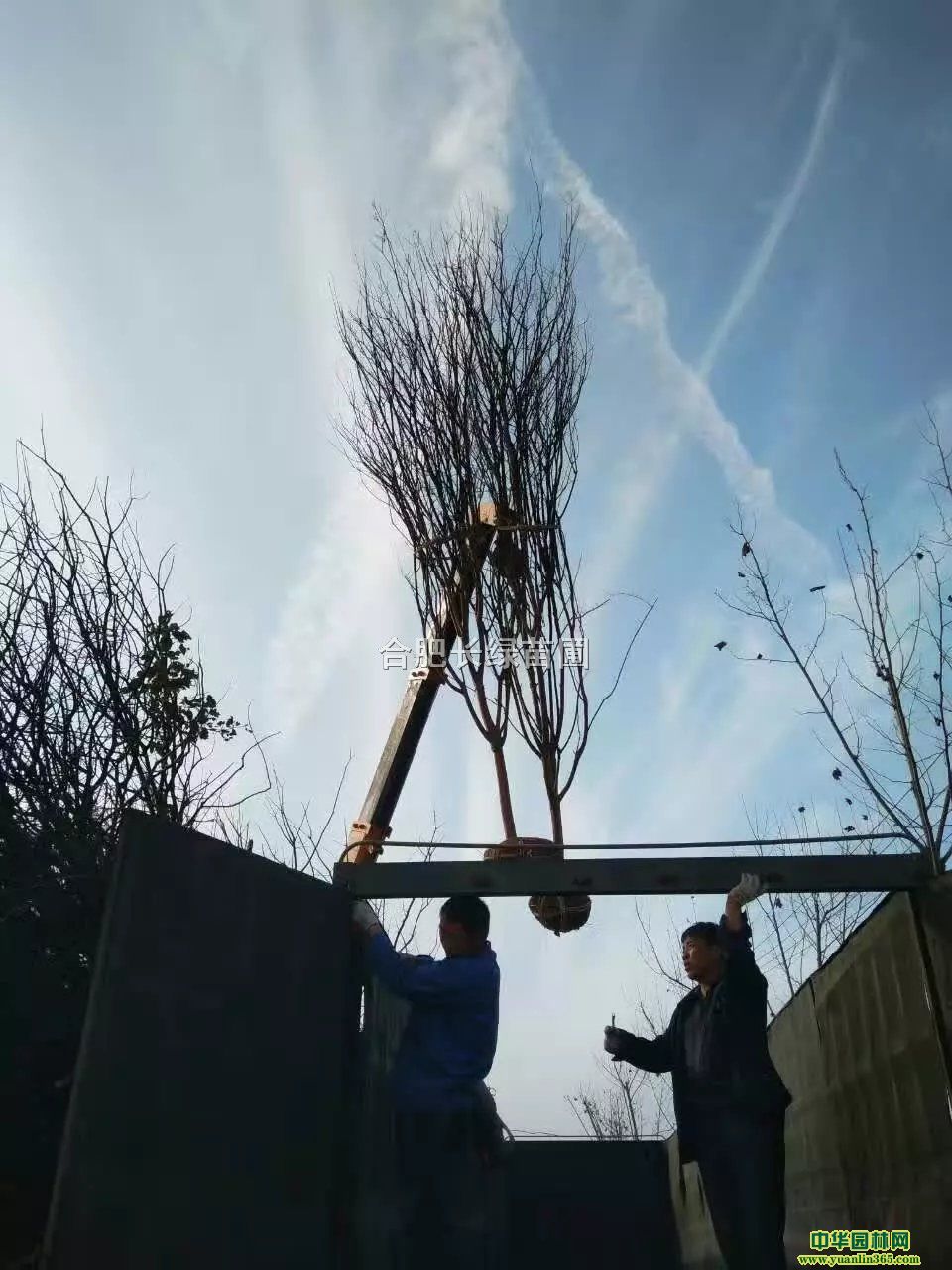 պϷʼtޱ؏2-15顢ޱС