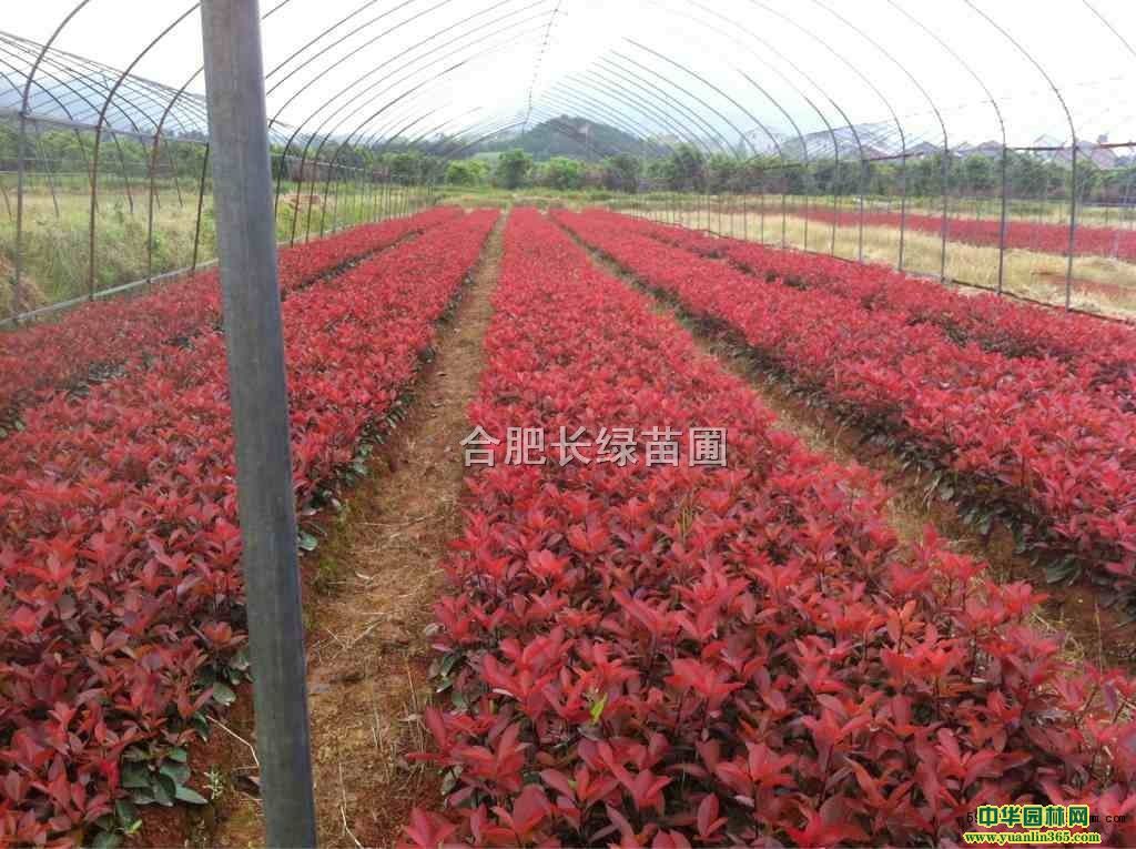 շСt~ʯ骡t^ľ~SɭŮؑ