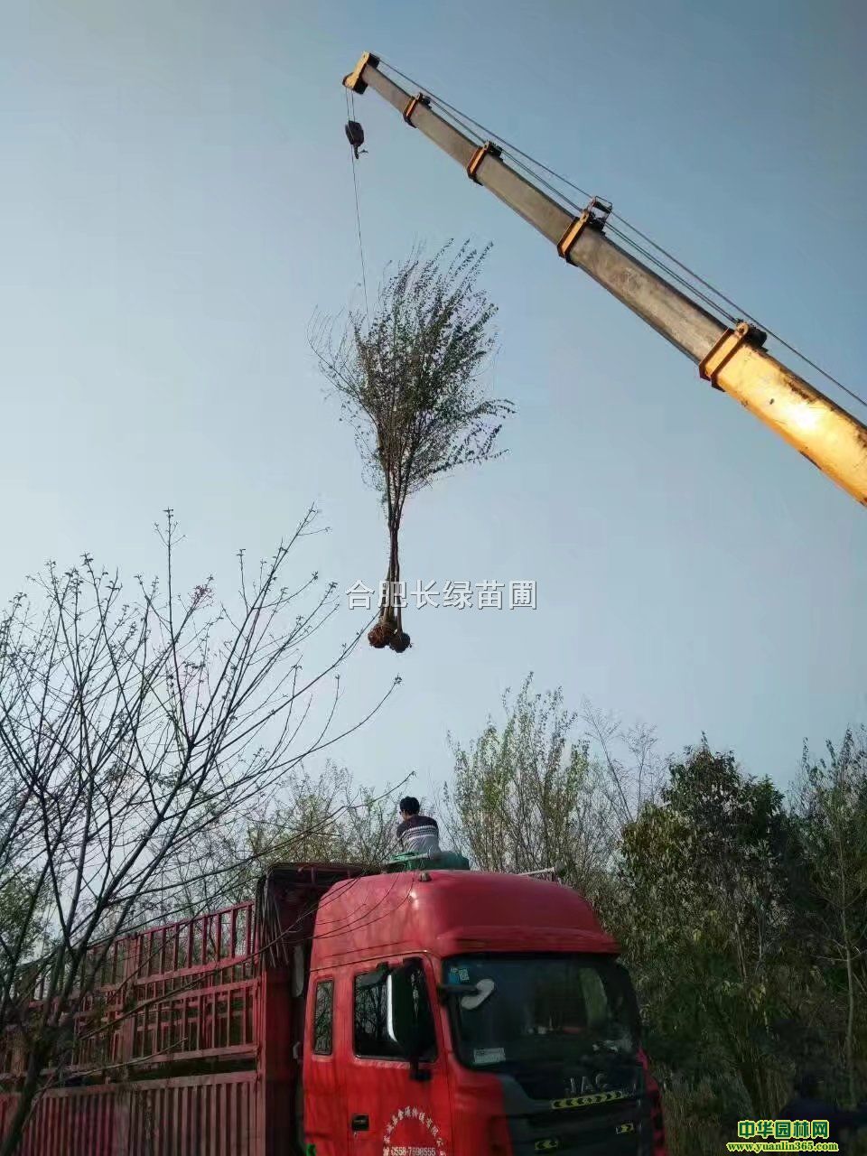 պϷʾƷǗ̡ǗԷNֲ؈DƬr(ji)