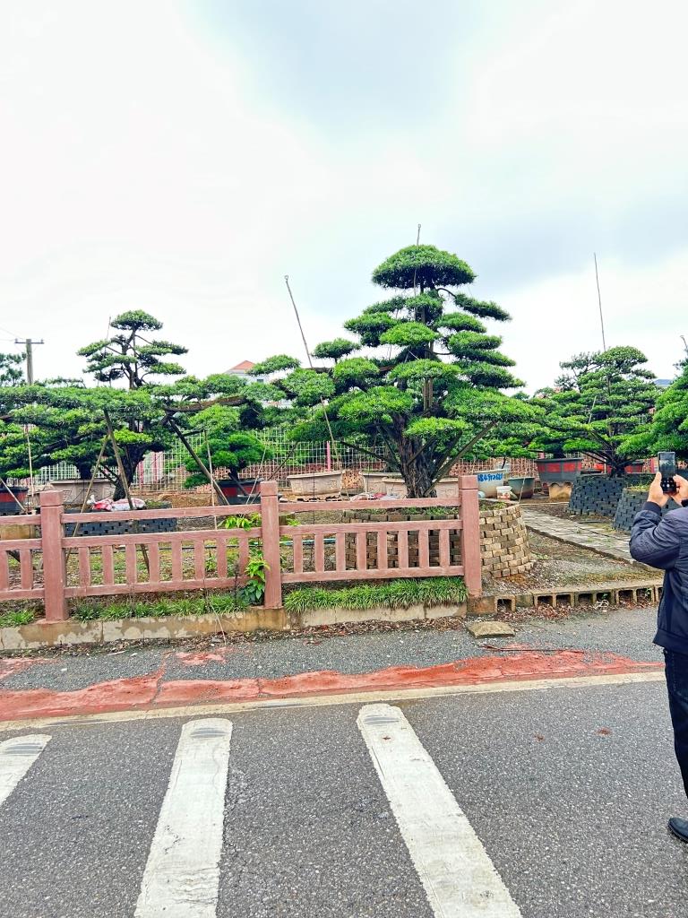 Rˮ_h辰Rˮ_hɡRˮ_h