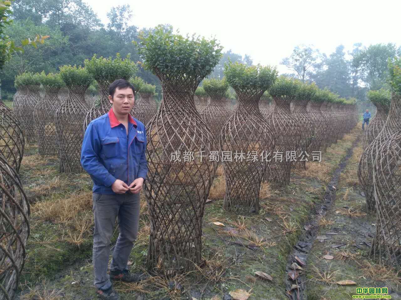 ޱ^ƿޱŮƿޱƿޱ÷ƿ