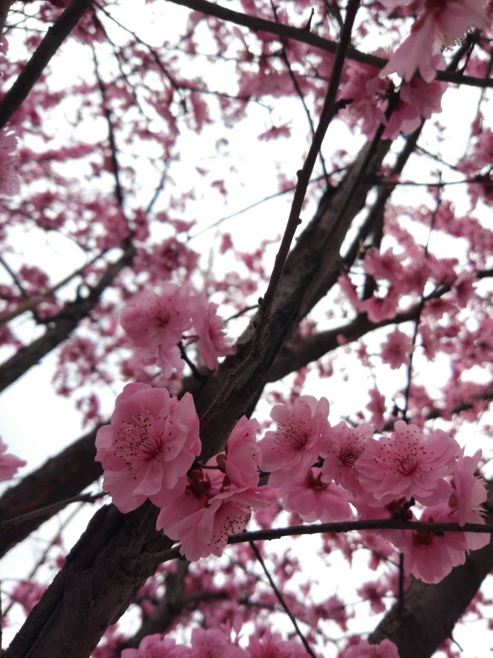 Ĵͷ֦t÷r؏6ּt÷r