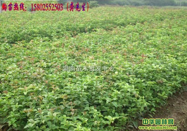 ļ𡢼t^ľ¹𡢵𡢼t~ʯ骡~Ůؑ