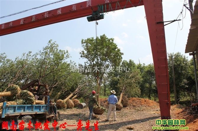 Դ~Ůؑȫڴ~ŮؑǼܴ~Ůؑ