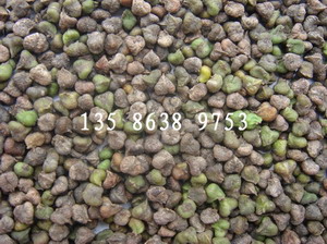 NӡtΘNӡoӷNӡNӡɳN