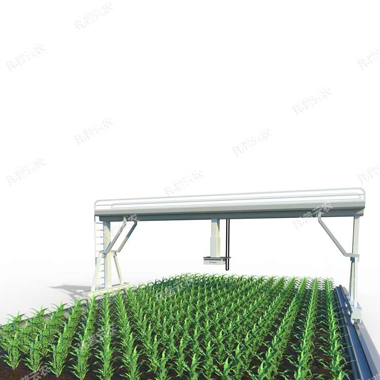田間軌道式高通量植物表型分析平臺
