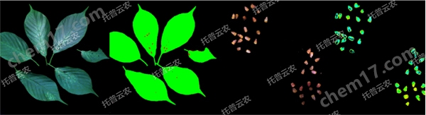 高光譜植物數(shù)字采集分析系統(tǒng)