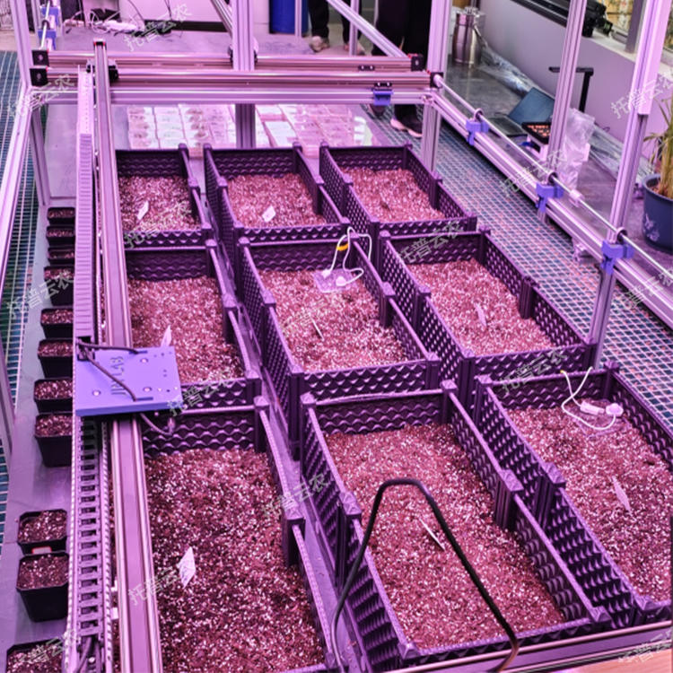 人工氣候室植物表型監測系統