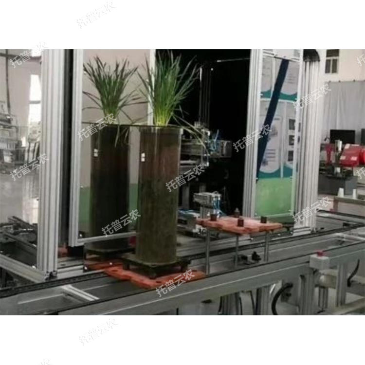 高通量植物根系表型采集分析系統（根筒式）