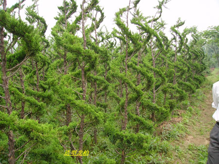 .GBN.𻨡ľ,ѻtG÷.DƬ