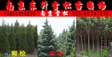 (yu)|(zh)ѲѩɼNGľDƬ