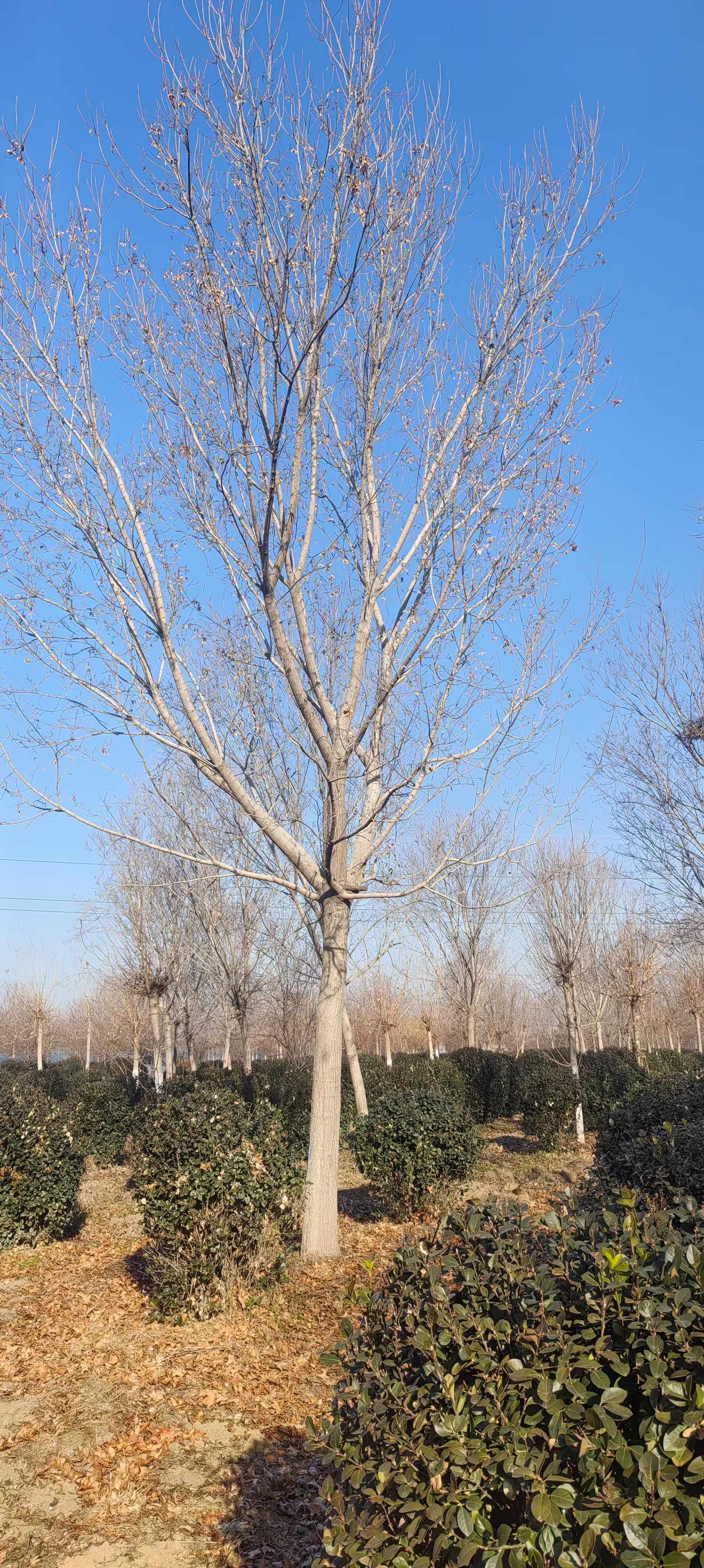 Ǘ5-6-7-8-9-10-11-12-13-14-15-16-17-18-1920ֱֻNDƬ