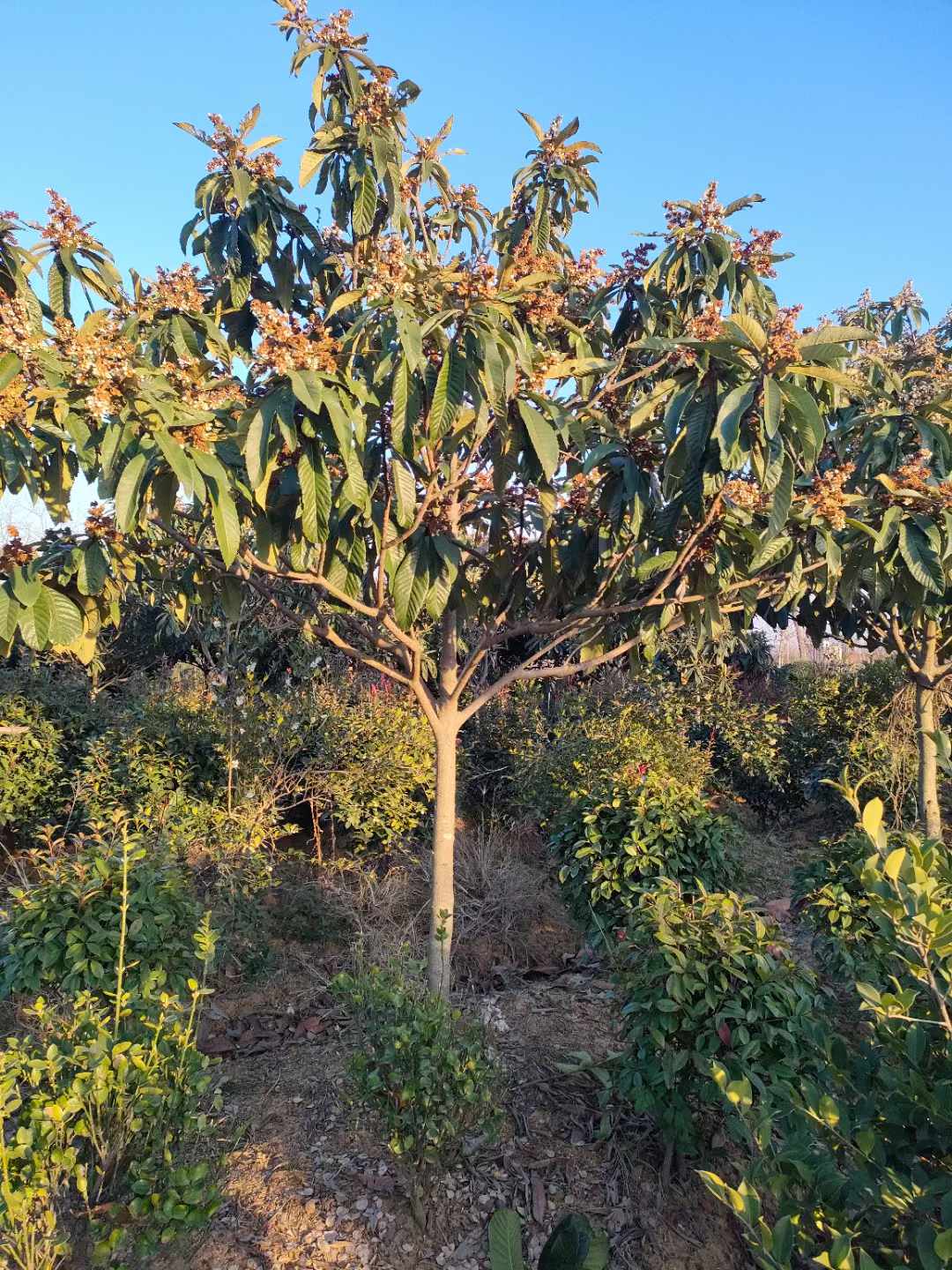 ˘5-6-7-8-9-10-11-12-13-14-15-16-17-18-1920ֱֻNDƬ